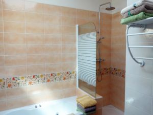 Salle de bain avec bain à remous et douche